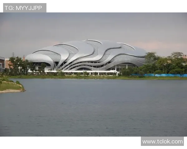 极限运动的转型之路：探寻广州极限运动队的成长与挑战