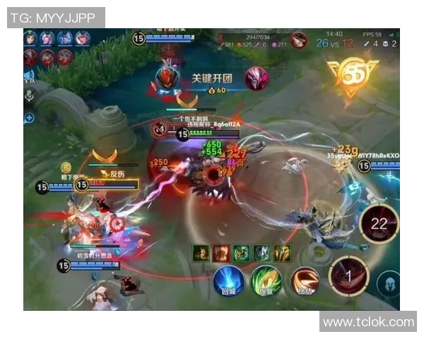 深入探讨王者荣耀V5版本的技术革新与游戏平衡性分析